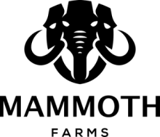 Mammoth-Farms-logo-e1619732286956.png