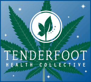 THC_Matchbook_Front-300x272